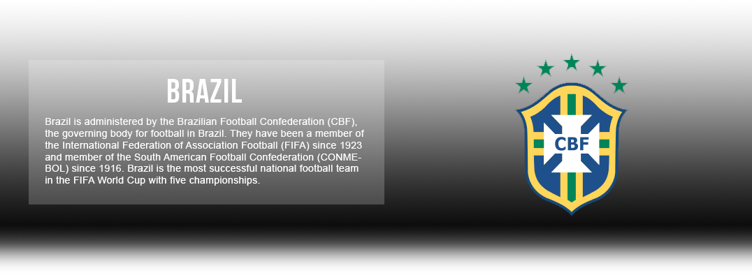 Brazil Jerseys & Accessories