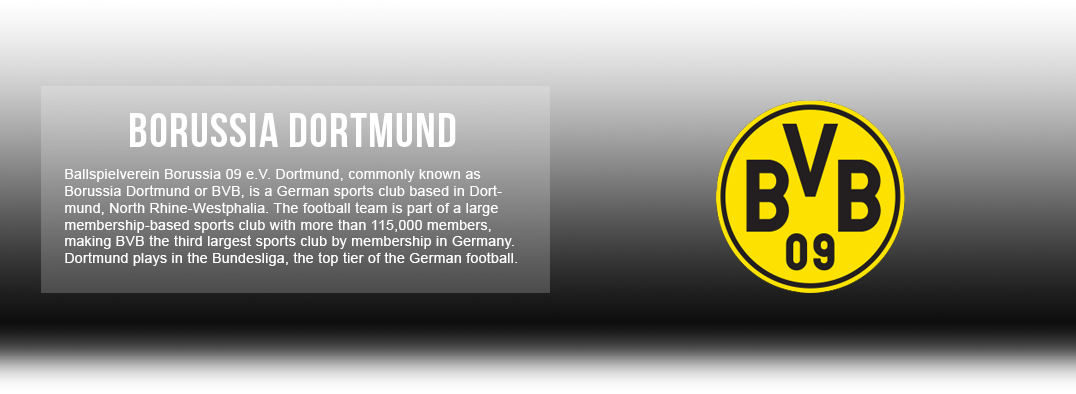 Borussia Dortmund Jerseys & Accessories