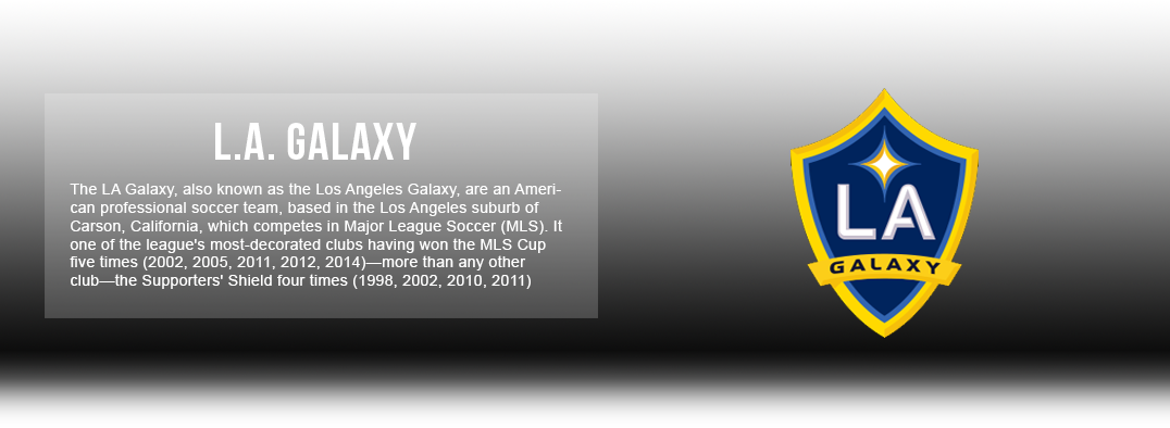 LA Galaxy Jerseys, Gear & Accessories