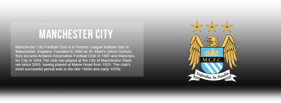 Manchester City Jerseys & Accessories