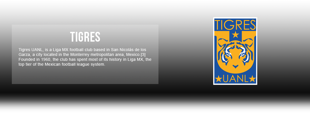 Tigres UANL Jerseys & Accessories