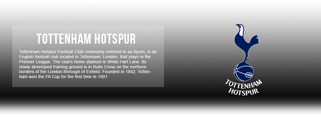 Tottenham Hotspur Jerseys & Accessories