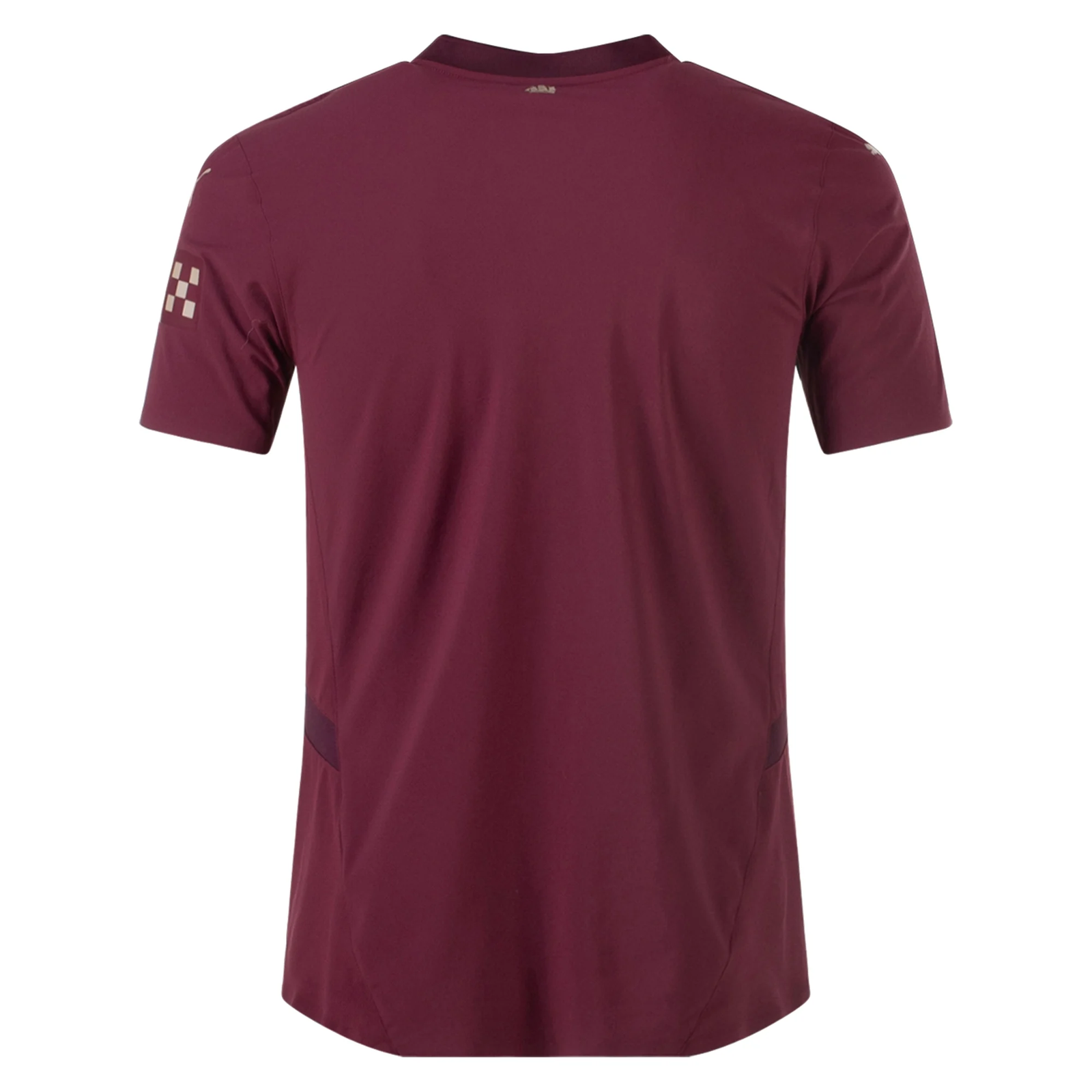 Puma Manchester City Authentic Third Jersey 24/25 (Dark Jasper)