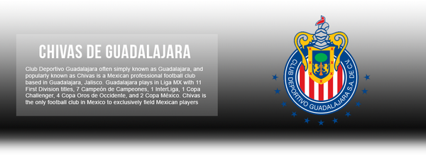 Chivas de Guadalajara Local/home Jersey Promo Authentic Liga MX 21