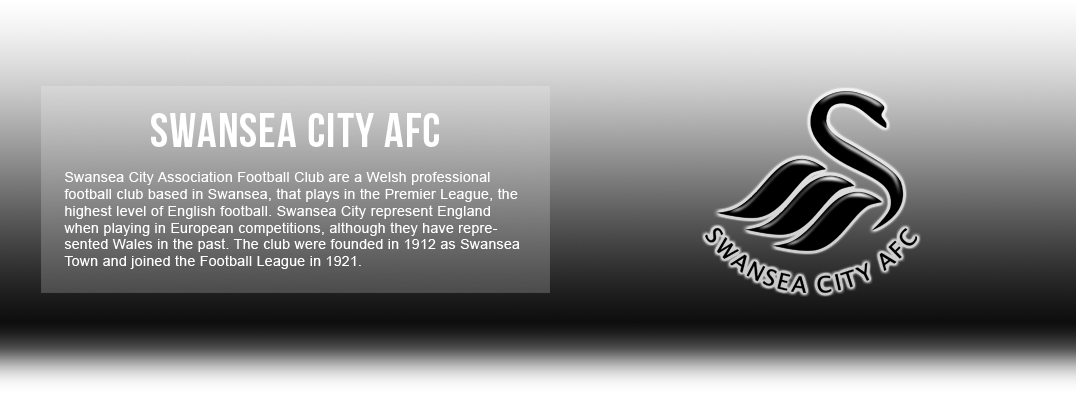 AFC de la ciudad de Swansea