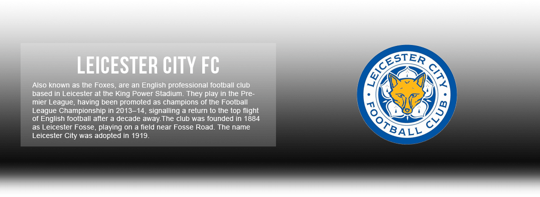 ciudad de leicester