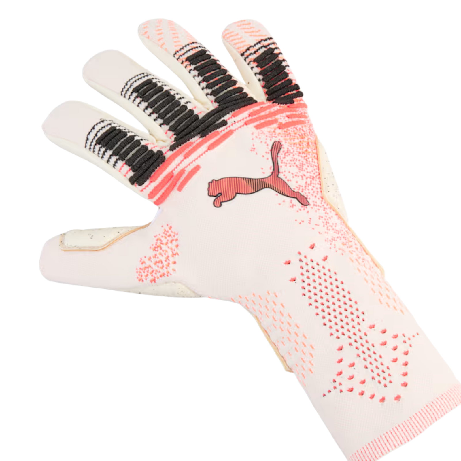 PUMA FUTURE Ultimate NC Goalkeeper Gloves (White)