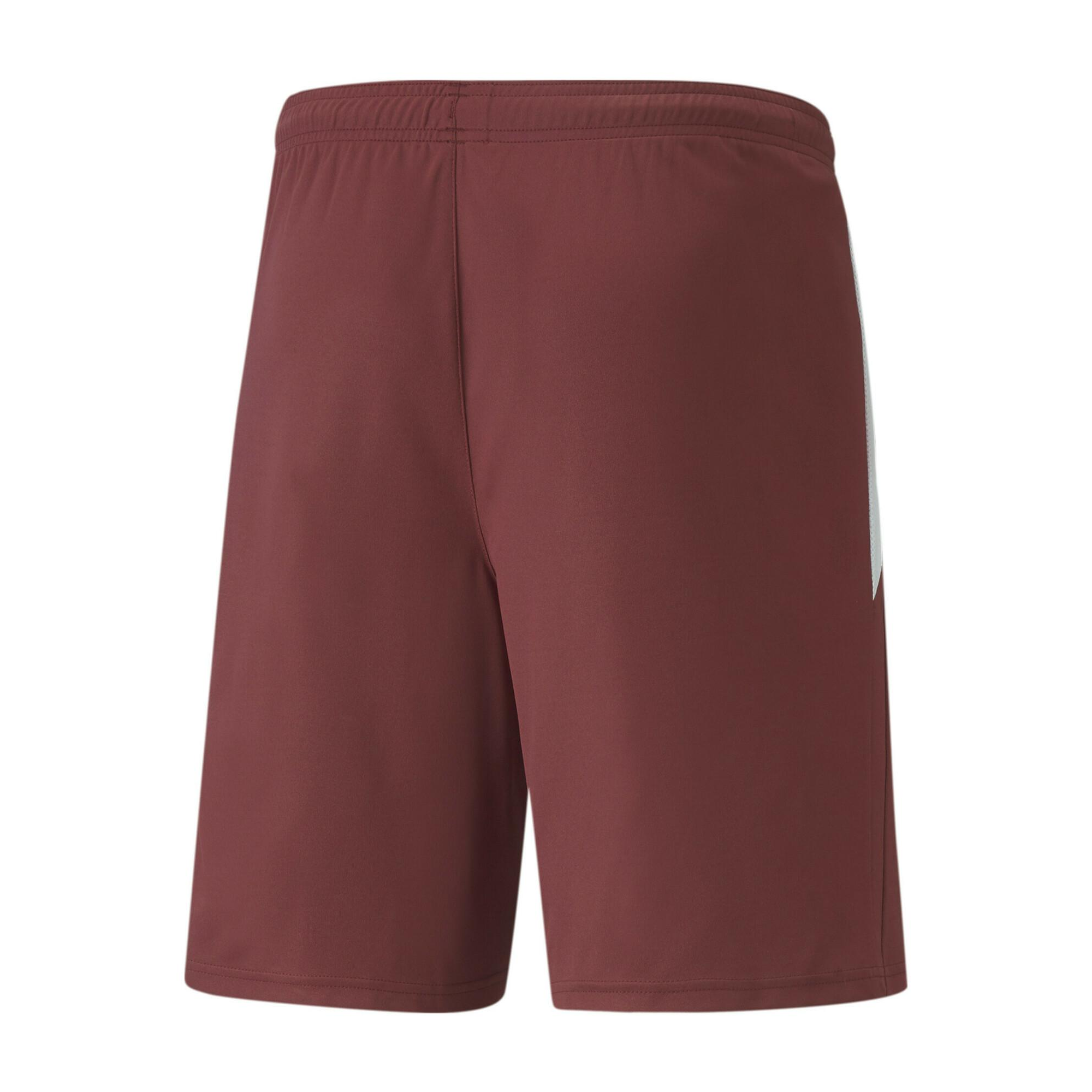Puma Team Liga Shorts (Burgundy)