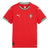 Puma Soccer Jerseys