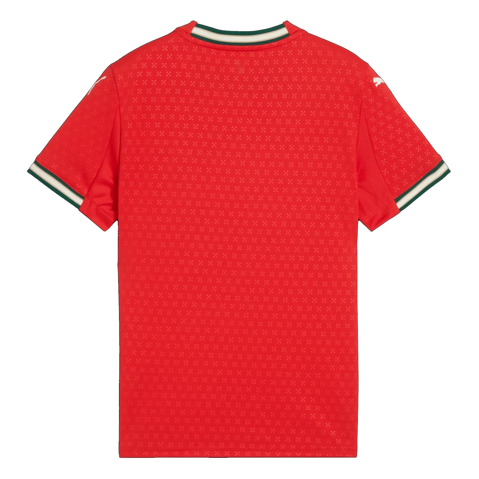 Puma Portugal Youth Home Jersey 25/26 (Sport Red/Sugared Almond)