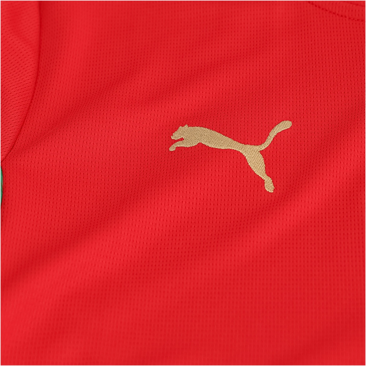 Puma Mens Morocco Home Jersey 2026 (Red)