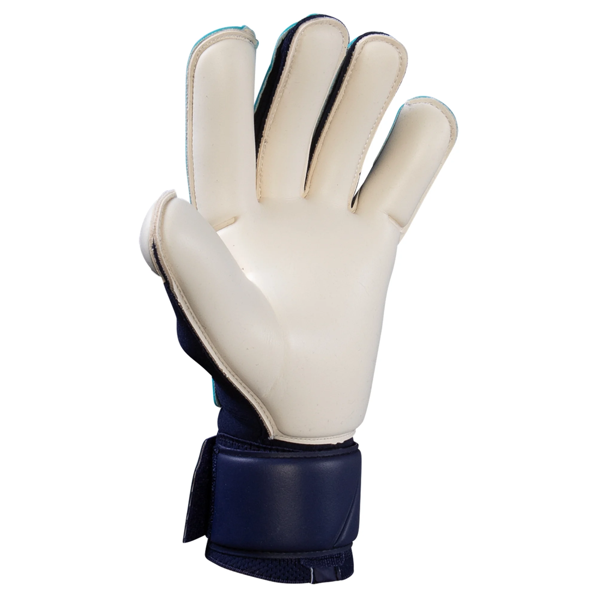 Nike Vapor Grip 3 Goalkeeper Glove (Blue Fury)
