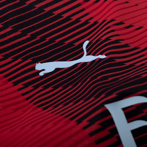 Zlatan discount ibrahimovic puma