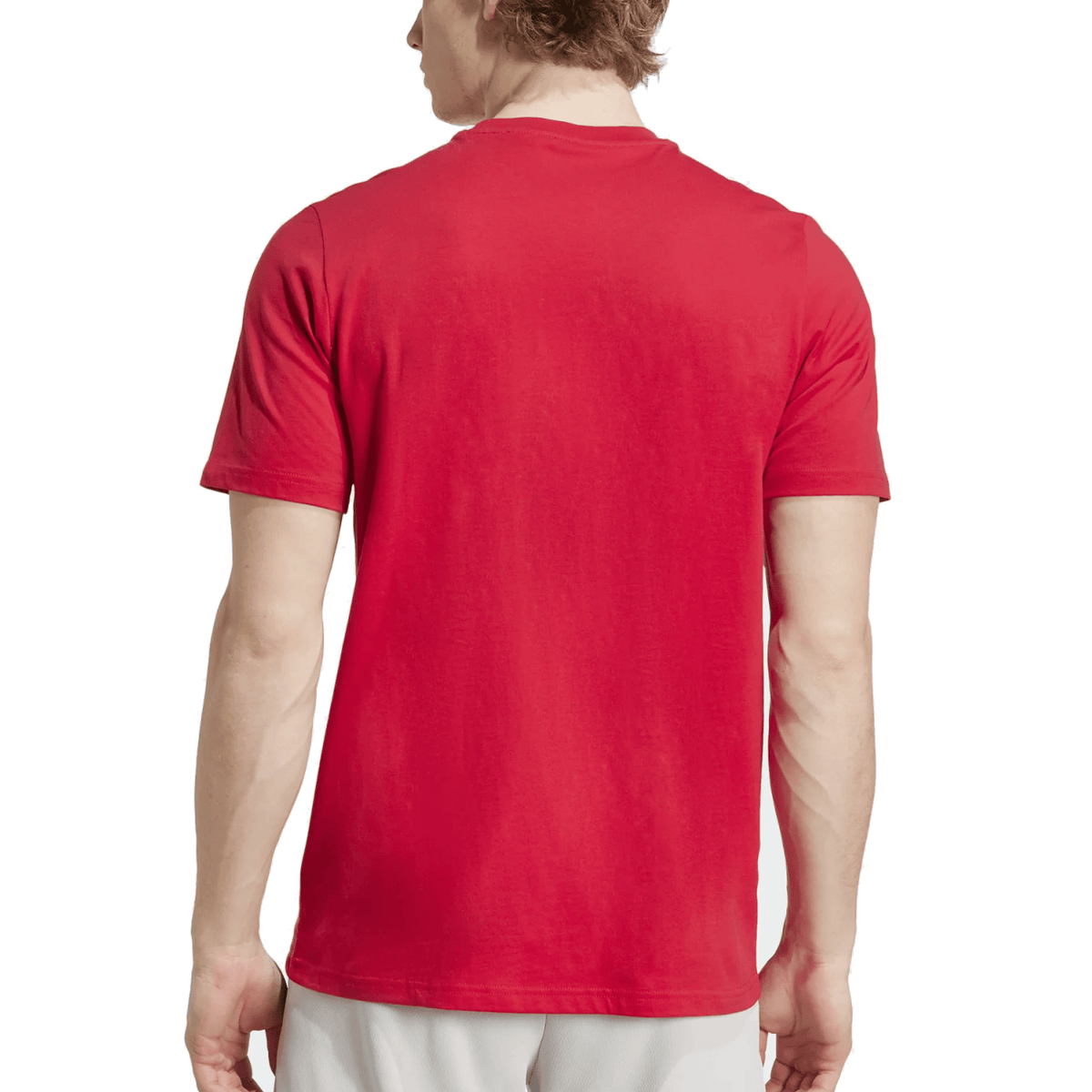 adidas Ajax Amsterdam Season Graphic T-Shirt (Red/White) | SoccerWearhouse