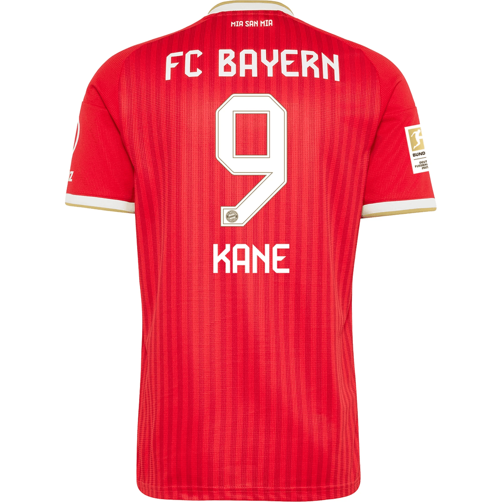 Harry Kane Jerseys & Accesssories