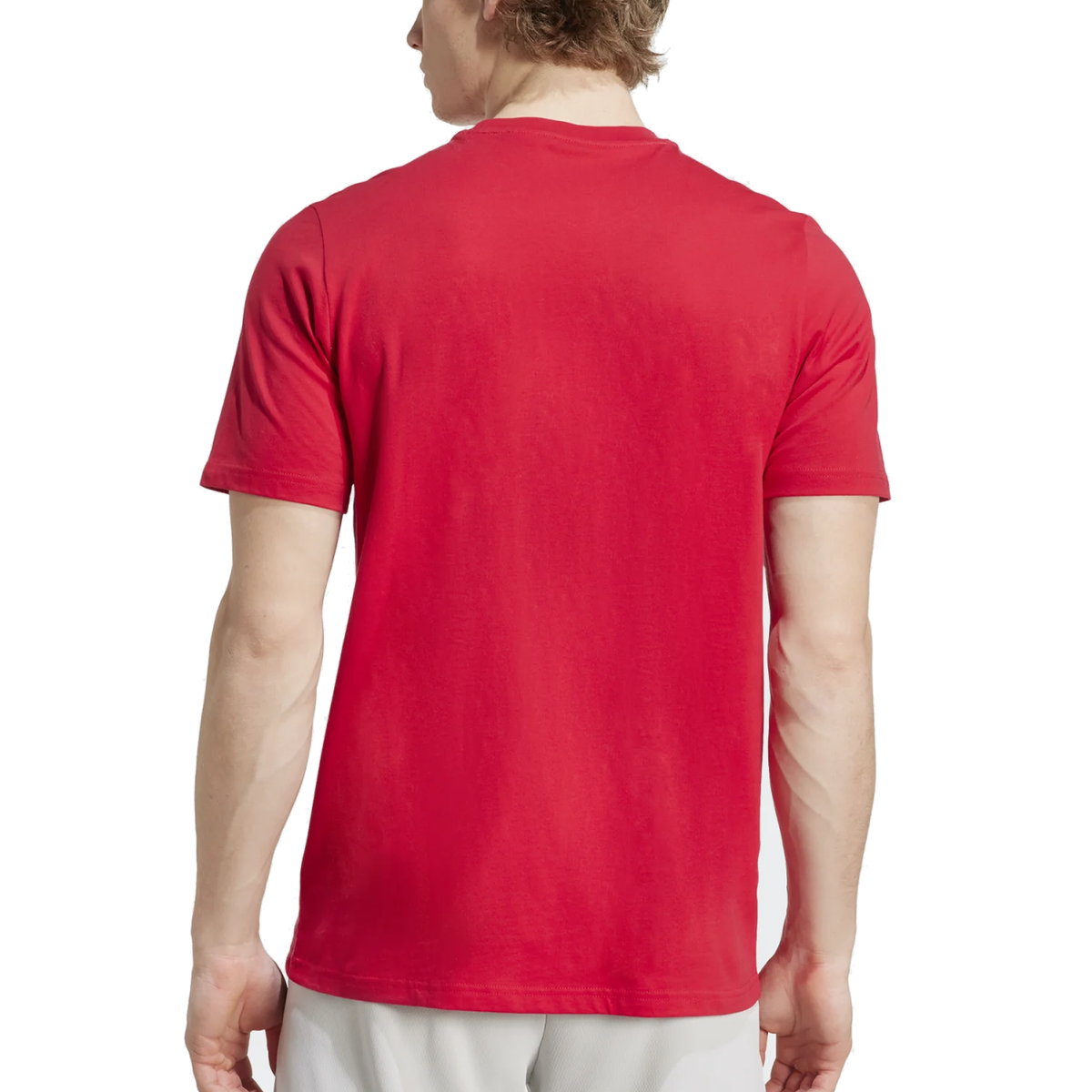 adidas Ajax Amsterdam Season Graphic T-Shirt (Red/White)