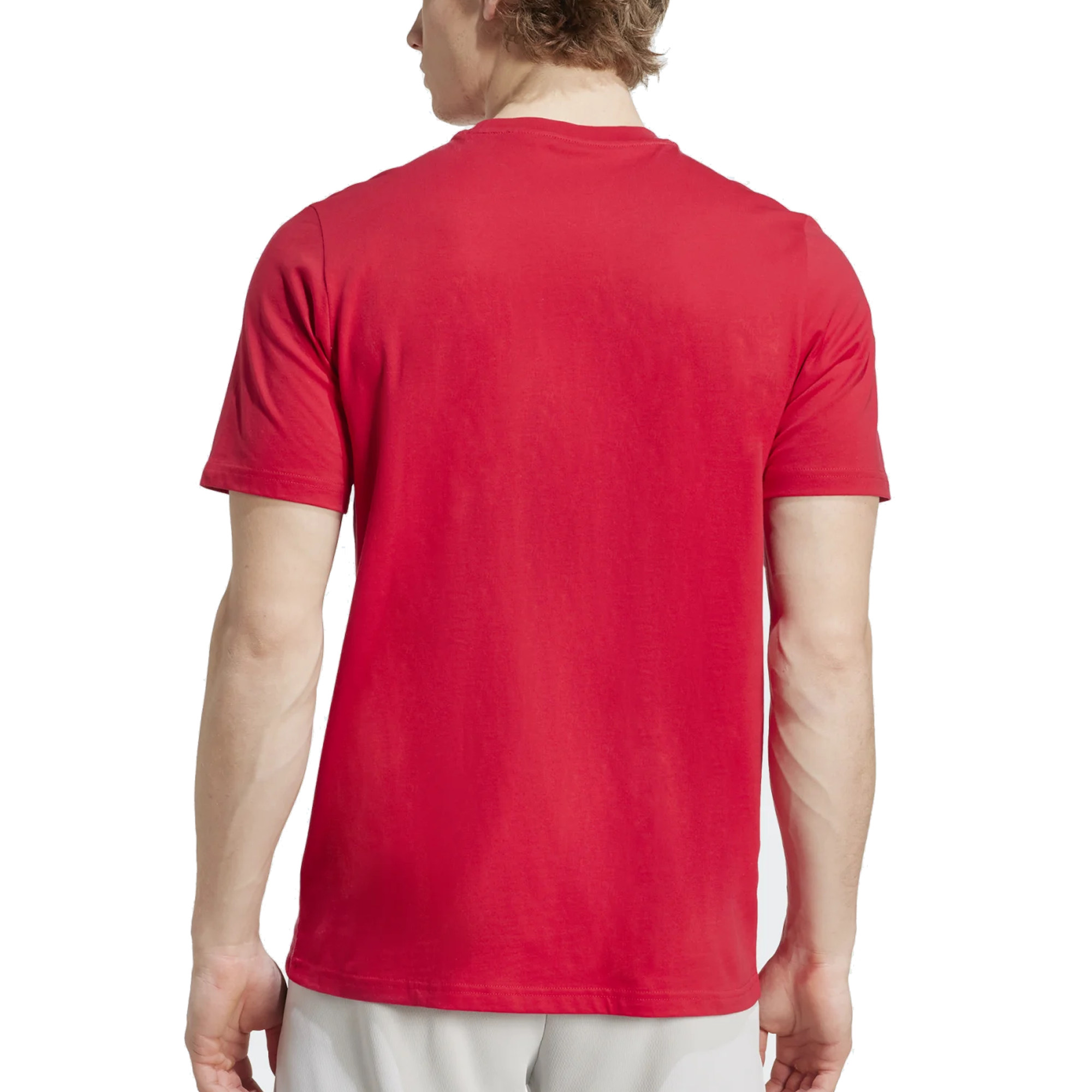 adidas Ajax Amsterdam Season Graphic T-Shirt (Red/White)