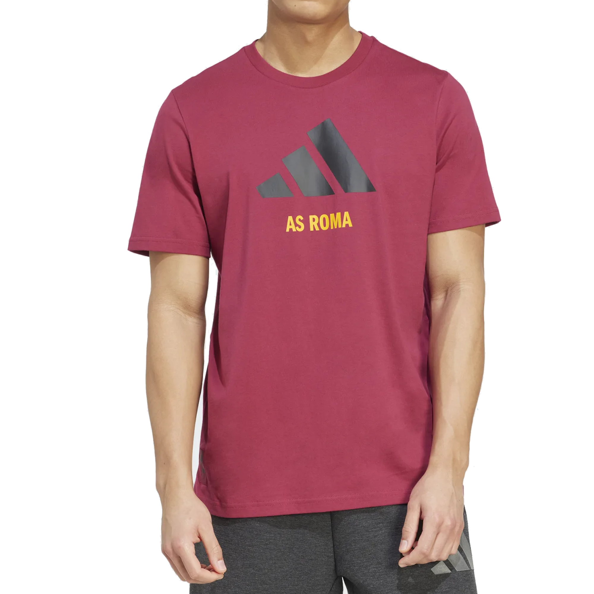 adidas Mens Roma Season Graphic T-Shirt (Legend Burgundy/Black)