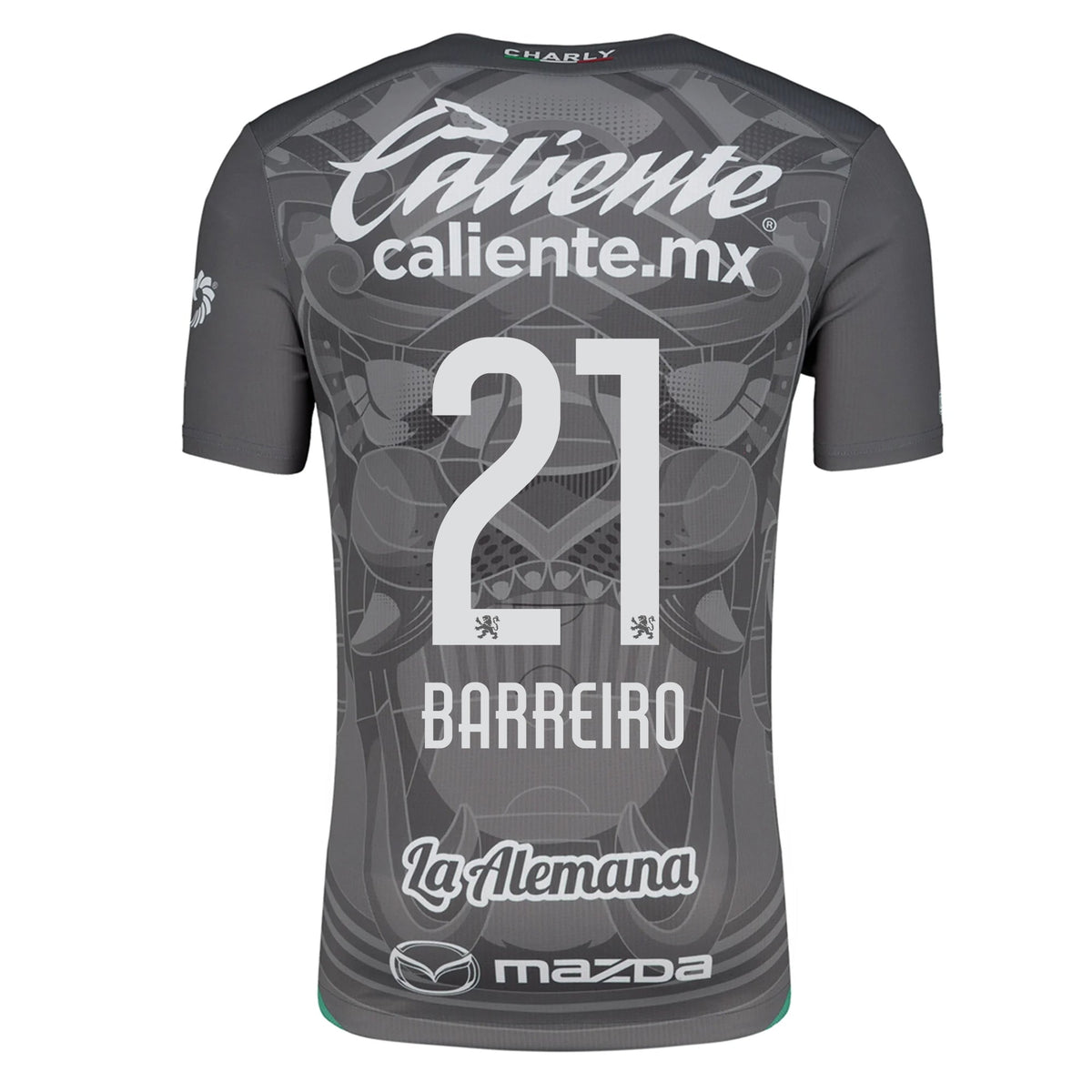 Charly Jaine Barreiro Leon Third Jersey 24/25 (Grey/Green) | SoccerWearhouse