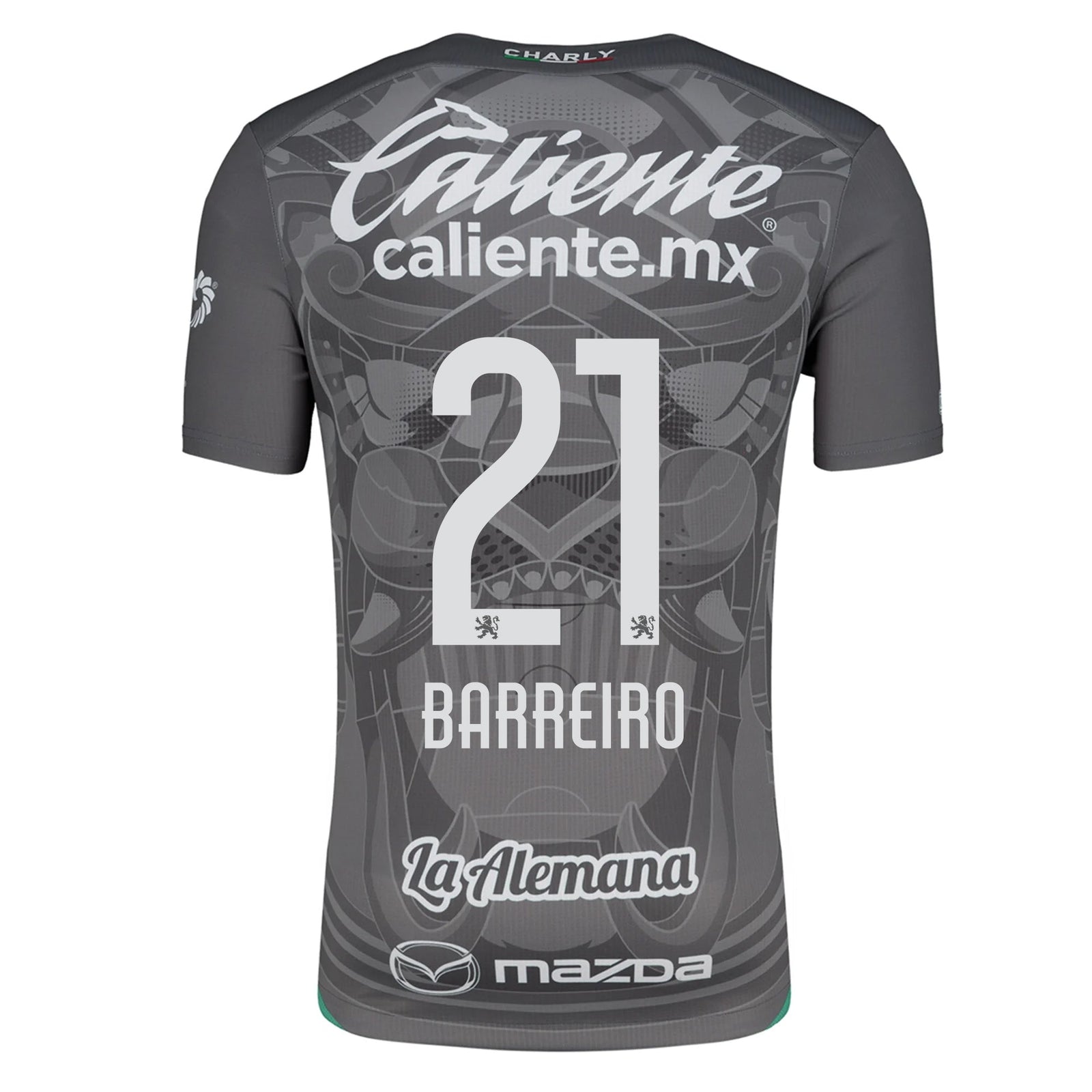 Charly Jaine Barreiro Leon Third Jersey 24/25 (Grey/Green) | SoccerWearhouse