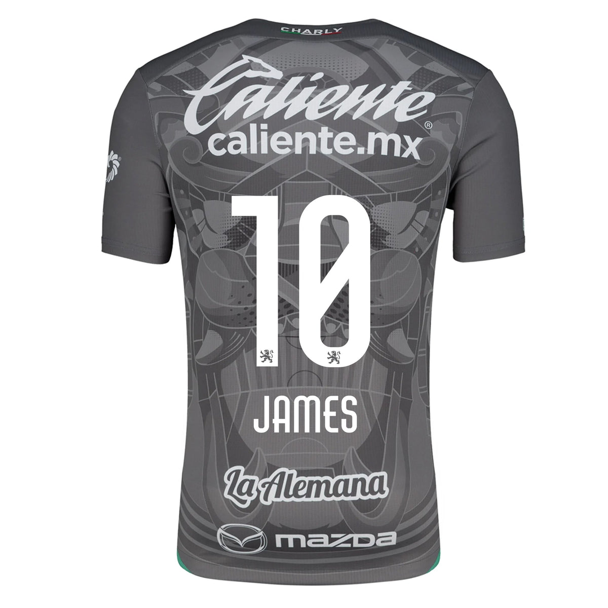 Charly James Rodriguez Leon Third Jersey 24/25 (Grey/Green) | SoccerWearhouse