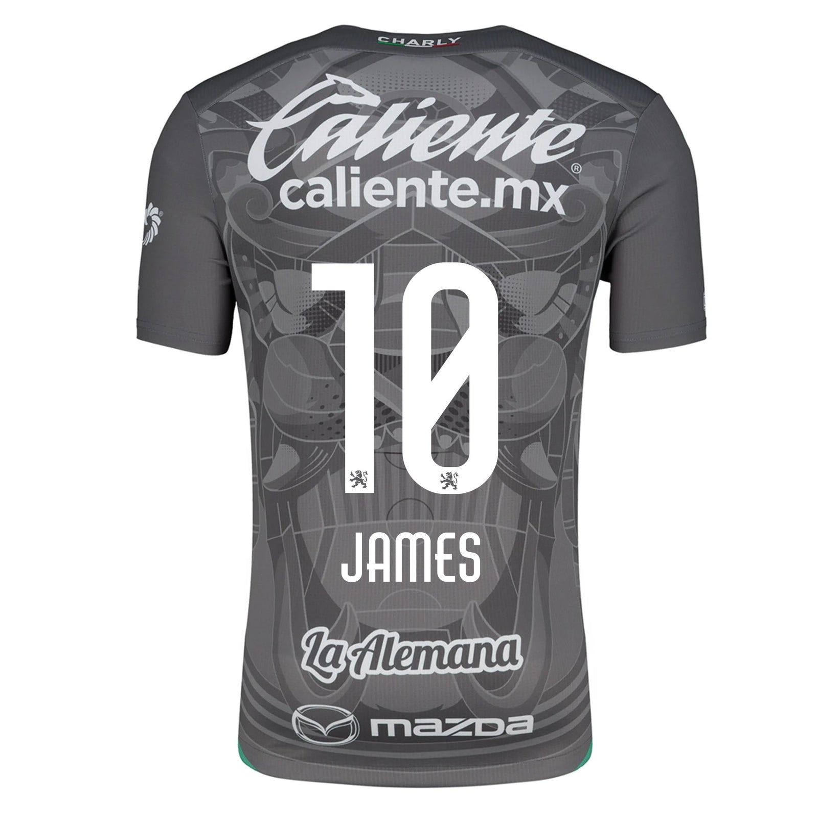 Charly James Rodriguez Leon Third Jersey 24/25 (Grey/Green) | SoccerWearhouse