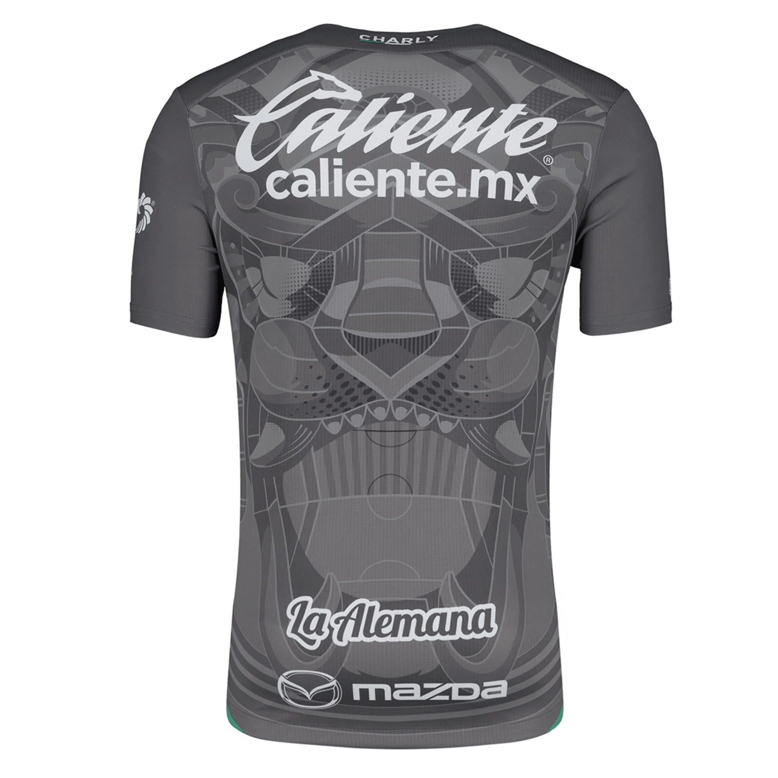 Charly Avion Ramirez Leon Third Jersey 24/25 (Grey/Green) | SoccerWearhouse