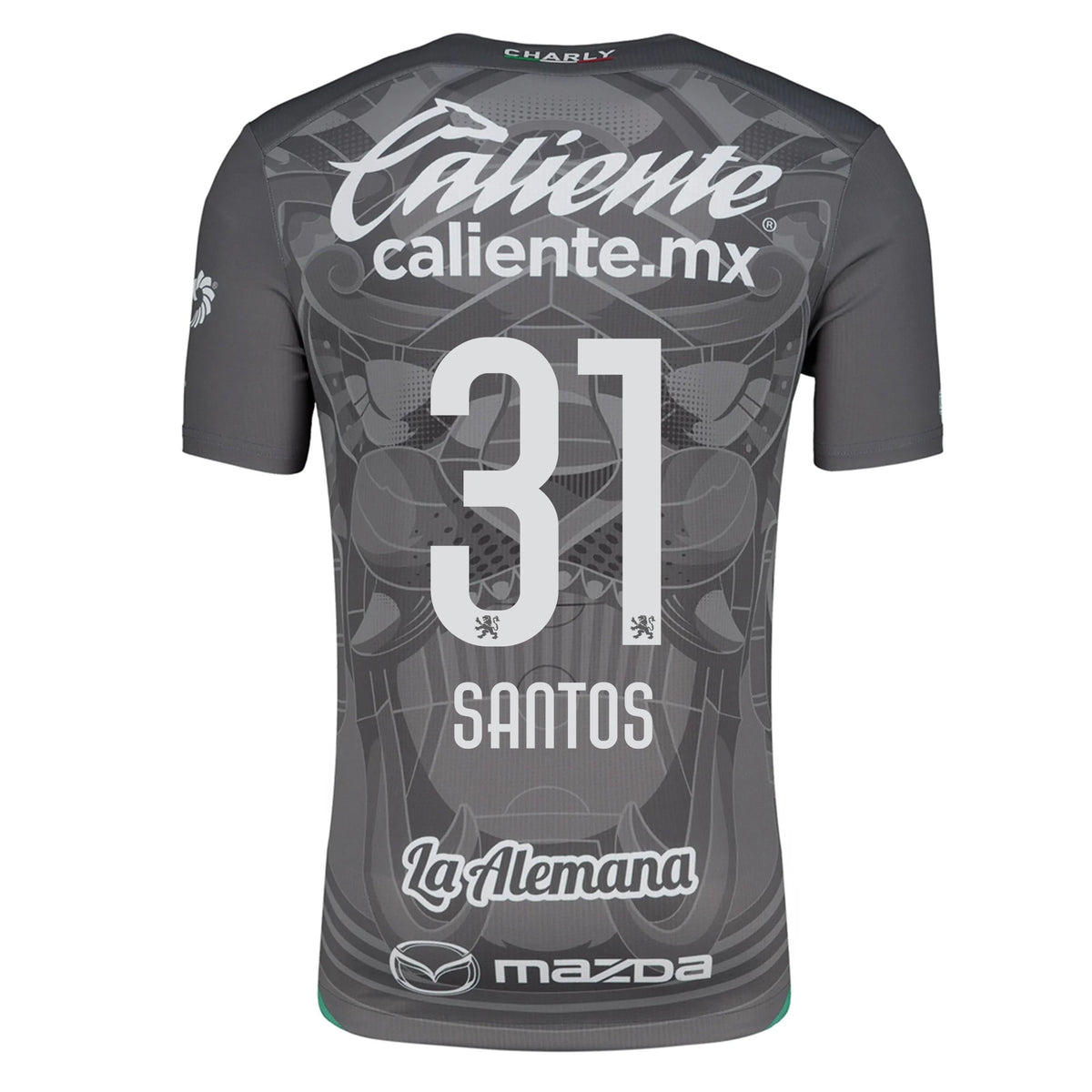 Charly Sebastian Santos Leon Third Jersey 24/25 (Grey/Green) | SoccerWearhouse
