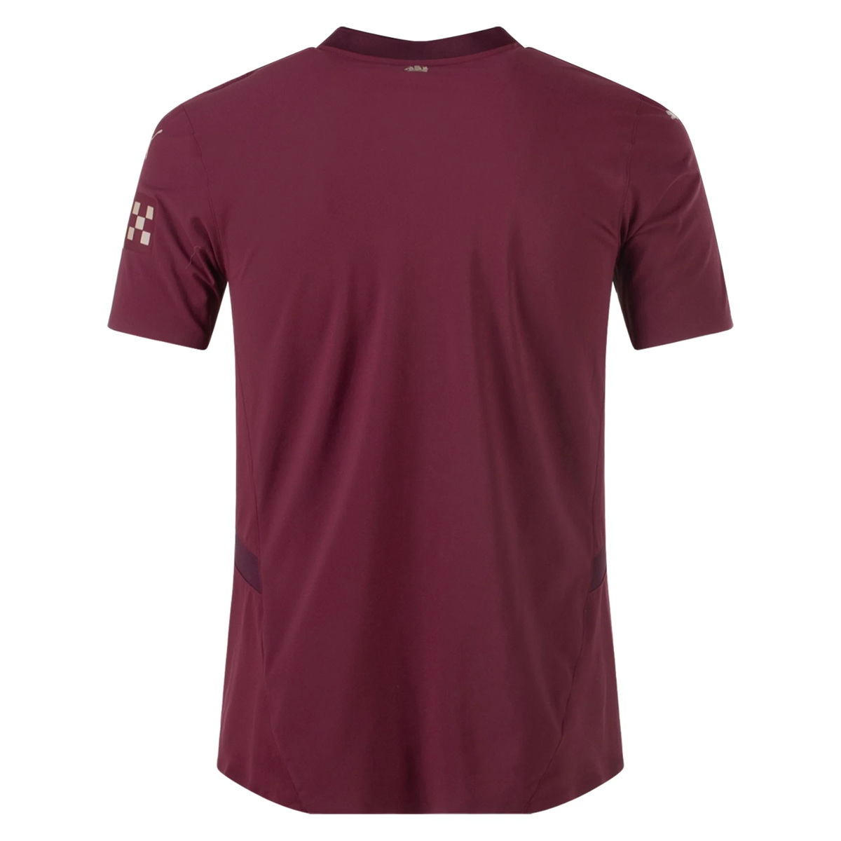 Puma Manchester City Authentic Third Jersey 24/25 (Dark Jasper)