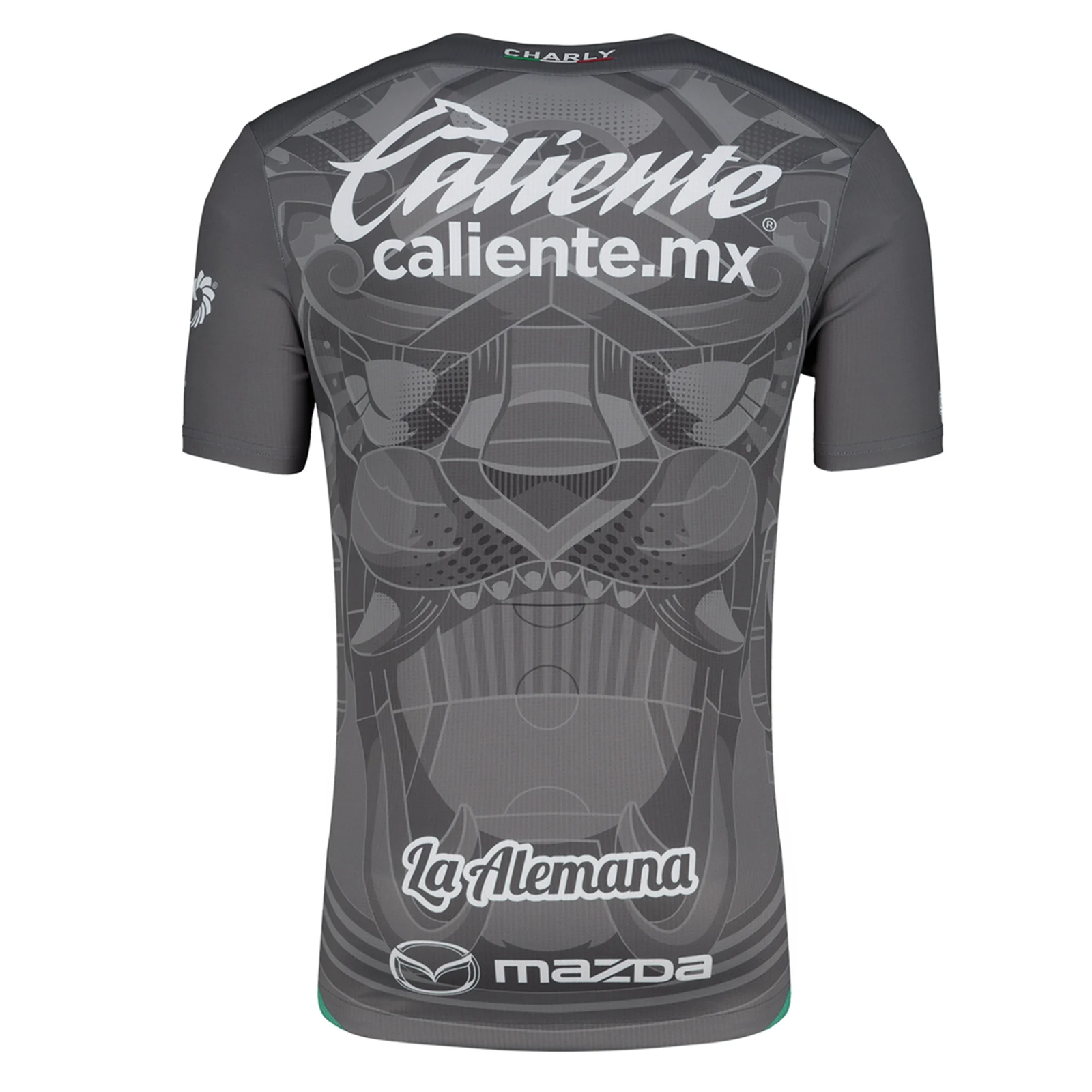 Charly Leon Third Jersey 24/25 (Grey/Green)