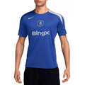 Nike Chelsea 25/26 T90 Strike Third Jersey (Game Royal/Field Silver)