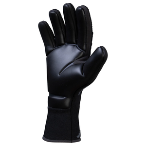 adidas Predator Pro Goalkeeper Glove (Black/Black)