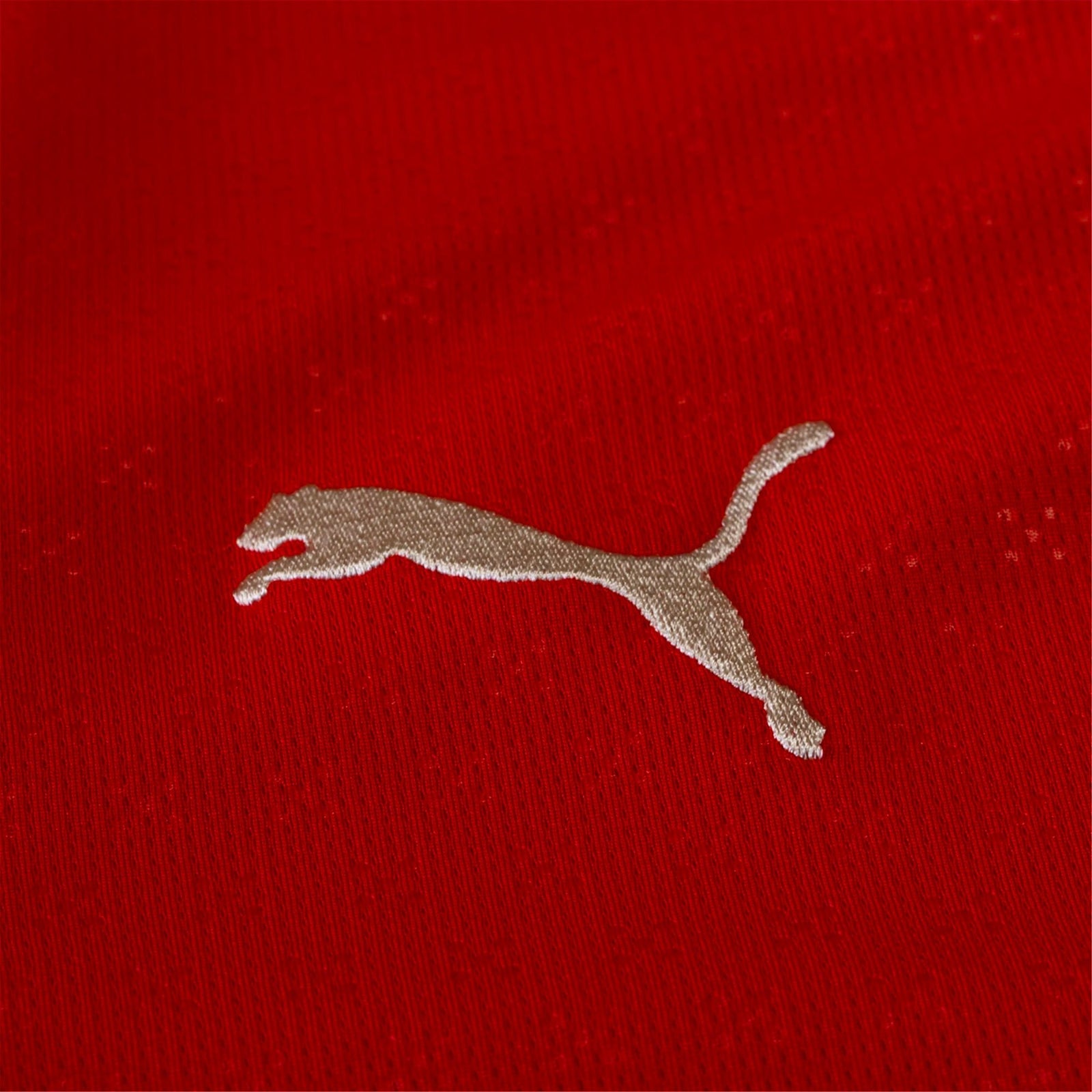 Puma Diogo Jota Portugal Home Jersey 25/26 (Sport Red/Sugared Almond) | SoccerWearhouse