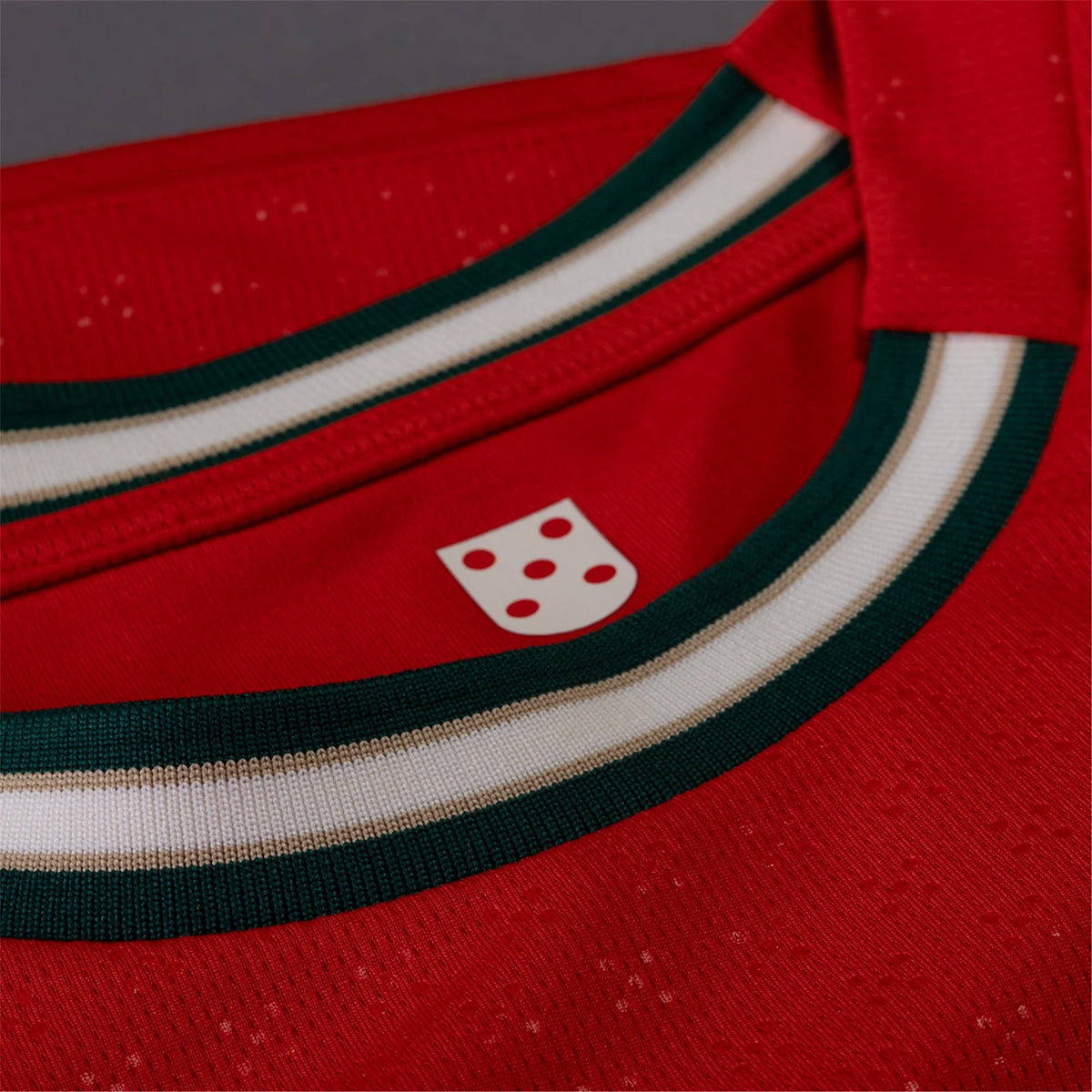 Puma Diogo Jota Portugal Home Jersey 25/26 (Sport Red/Sugared Almond) | SoccerWearhouse