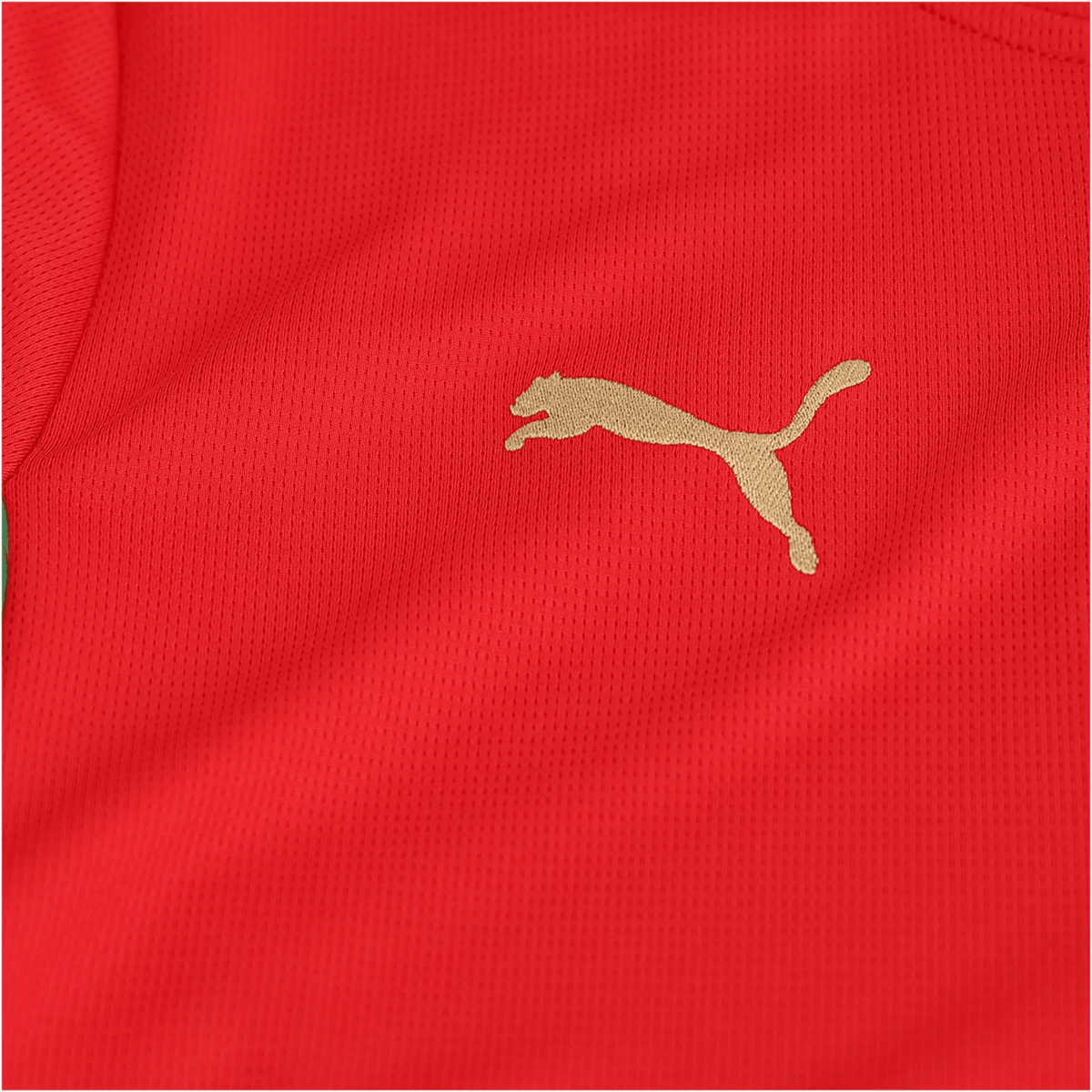 Puma Mens Morocco Home Jersey 2026 (Red) | SoccerWearhouse