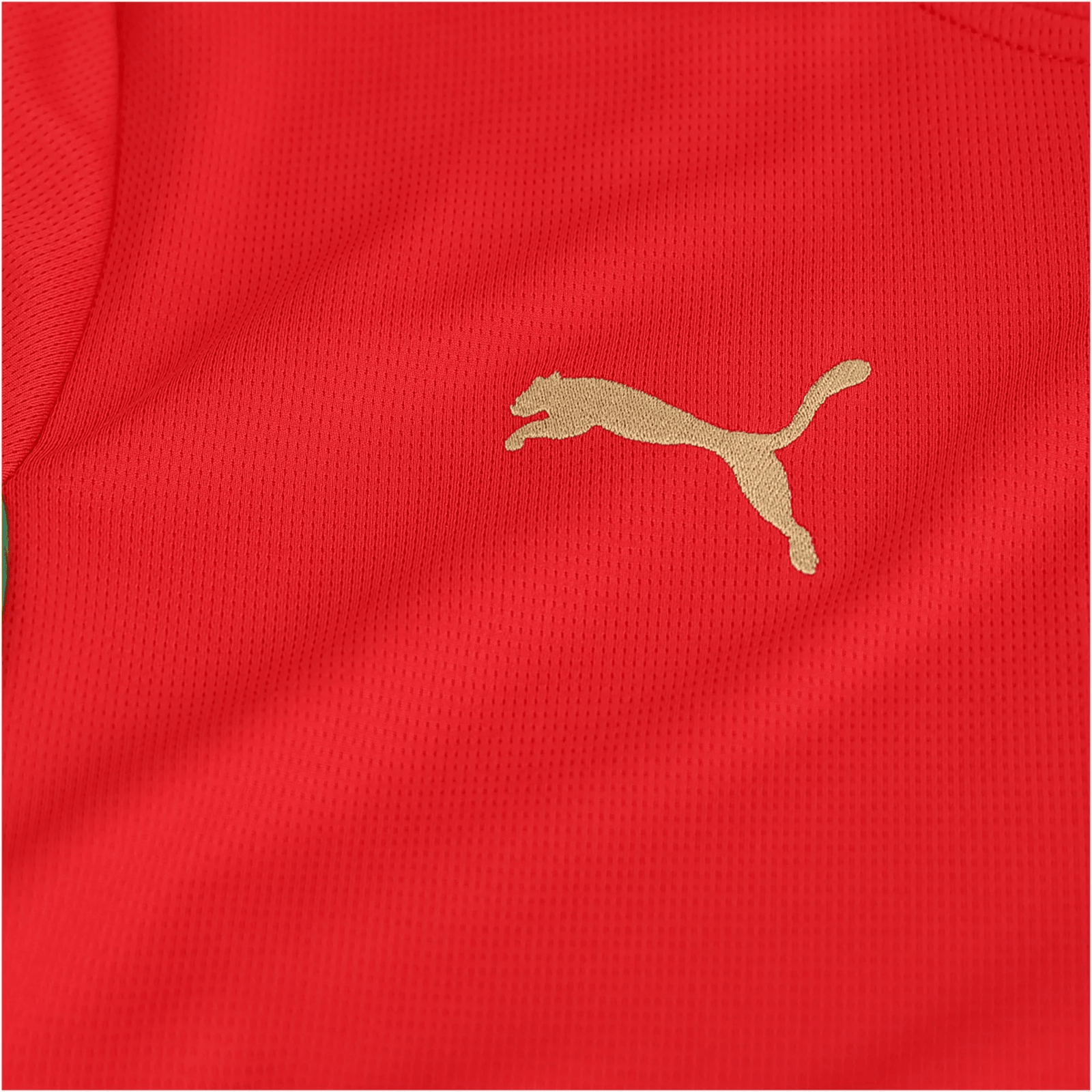 Puma Mens Morocco Home Jersey 2026 (Red) | SoccerWearhouse