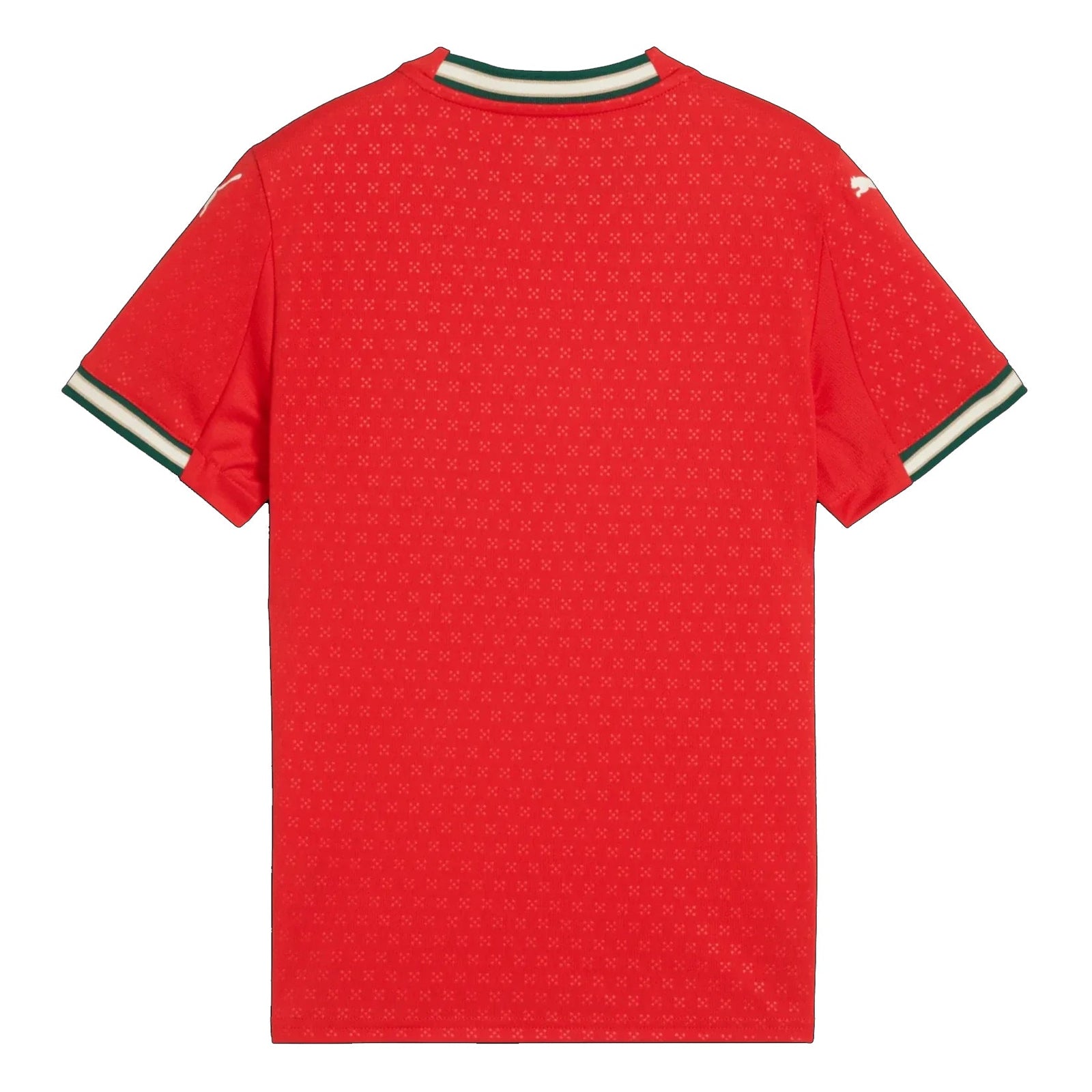Puma Portugal Youth Home Jersey 25/26 (Sport Red/Sugared Almond) | SoccerWearhouse