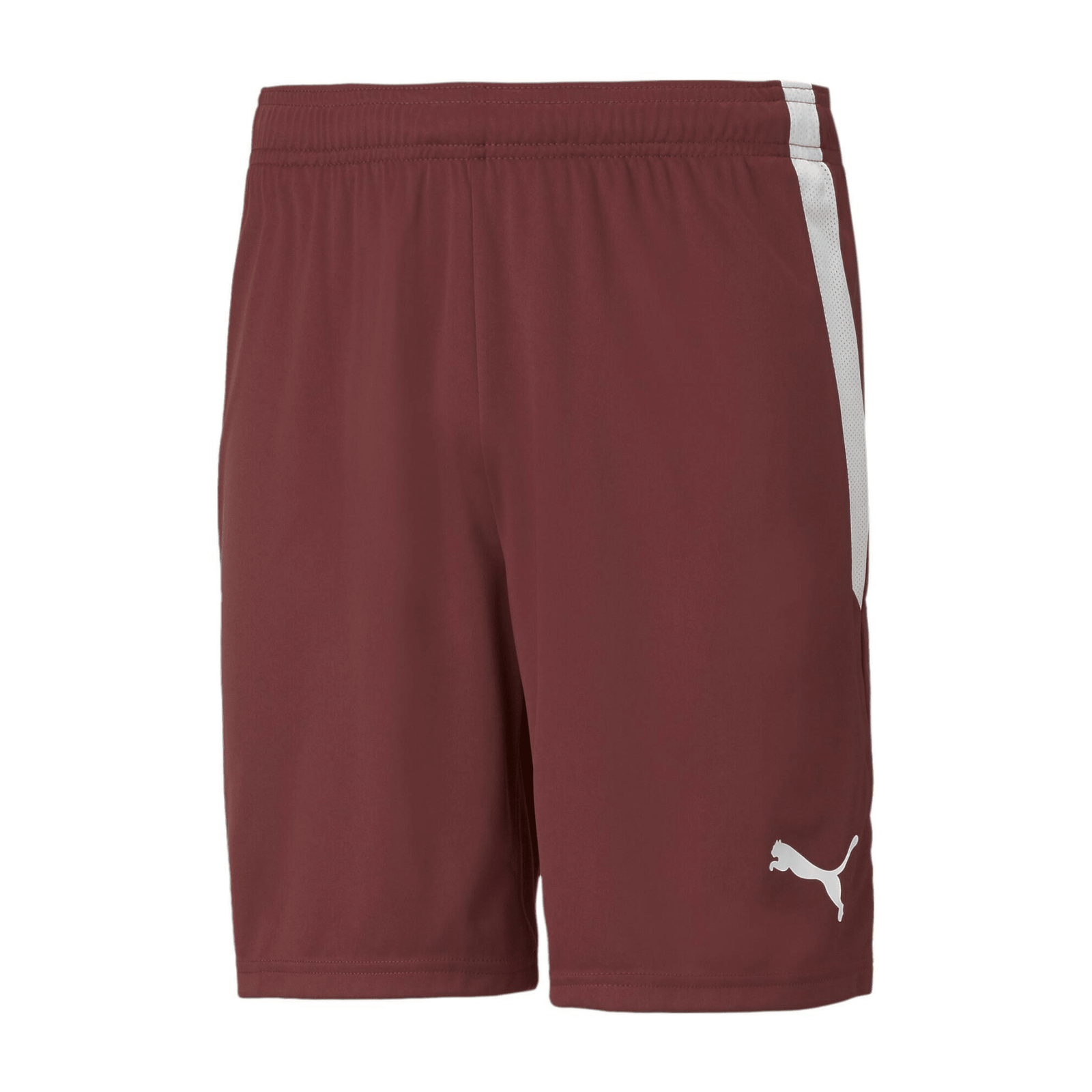 Puma Team Liga Shorts (Burgundy) | SoccerWearhouse