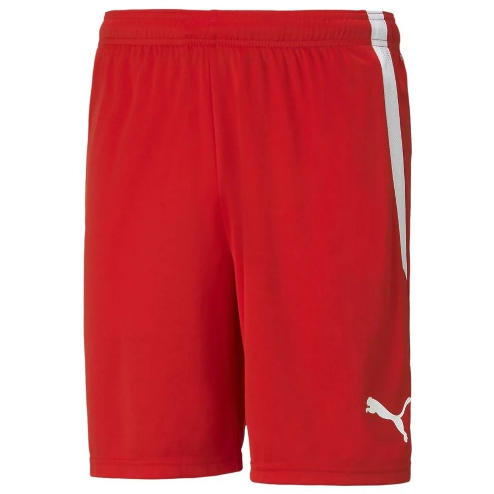 Puma teamLIGA Soccer Shorts (Red) | SoccerWearhouse
