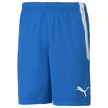 Puma teamLIGA Soccer Shorts (Royal Blue)