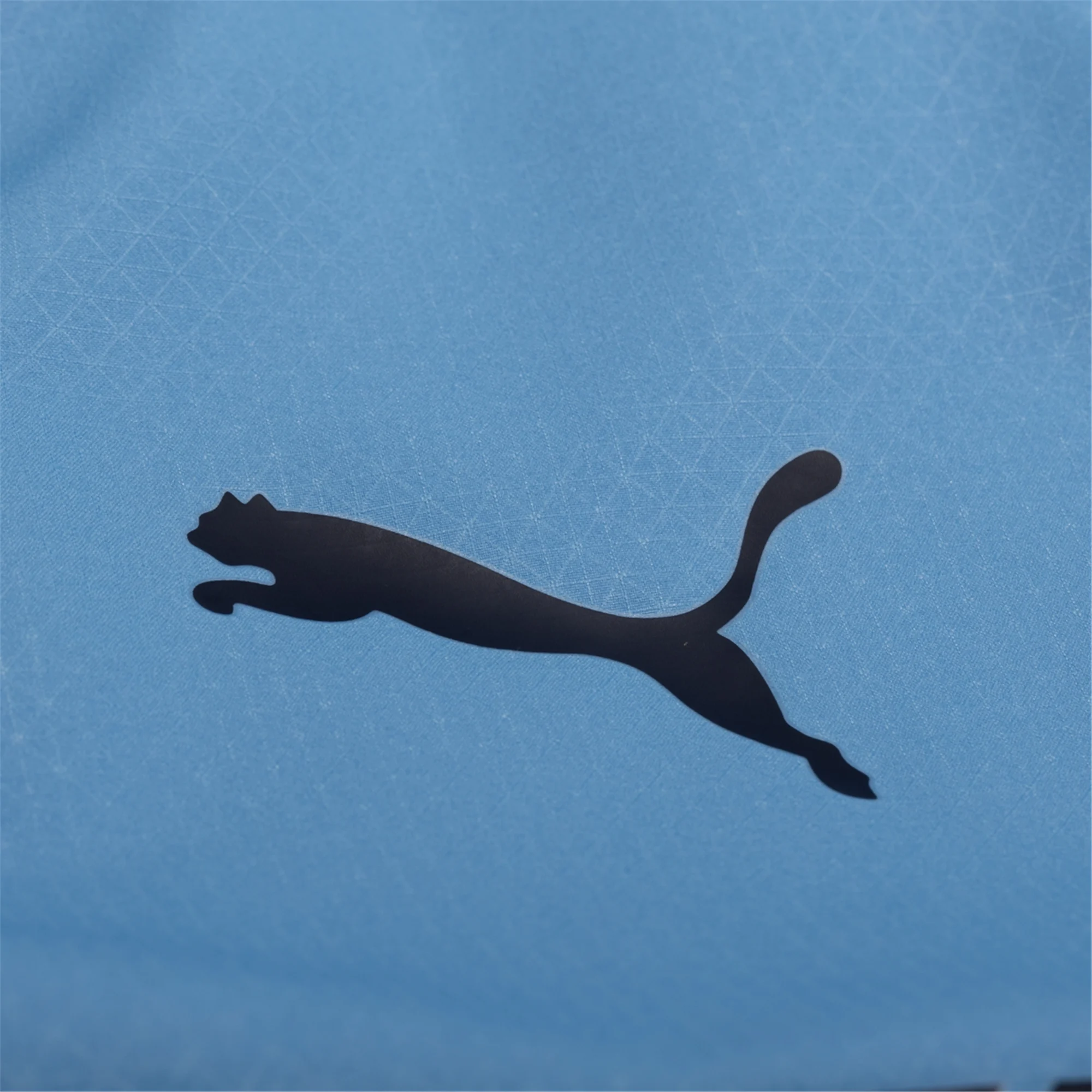 Puma Manchester City Authentic Cherki Home Jersey w/ Champions League Patches 25/26 (Team Light Blue/White)