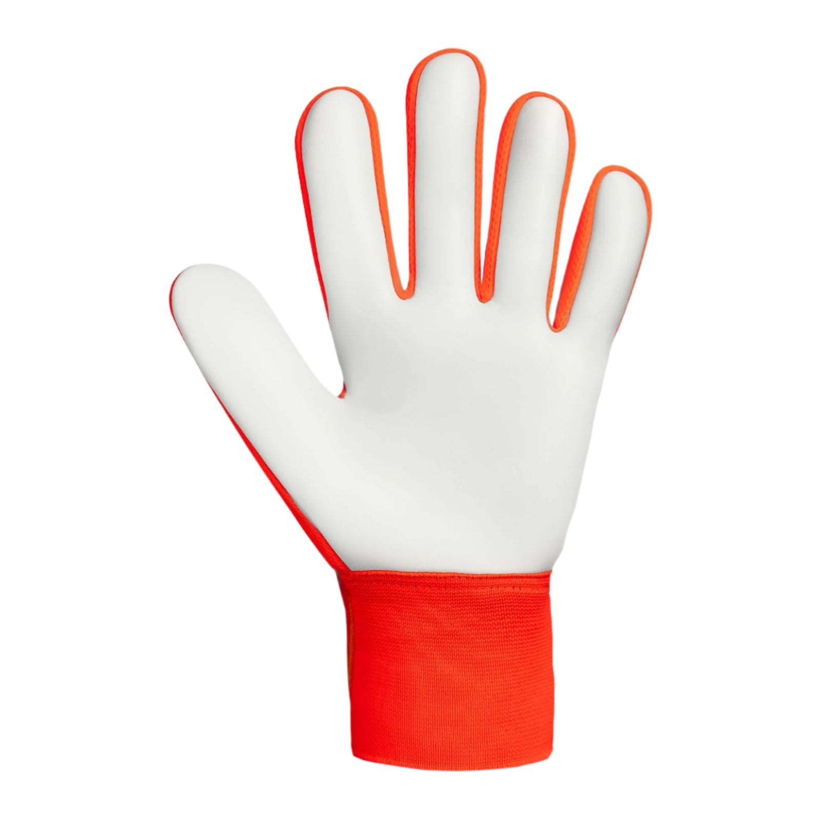 Reusch Attrakt Stater Solid Goalkeeper Glove (Electric Blue/Shocking Orange) | SoccerWearhouse