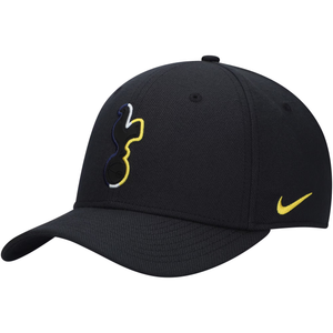 Nike Tottenham Swoosh Flex Hat 24/25 (Black)