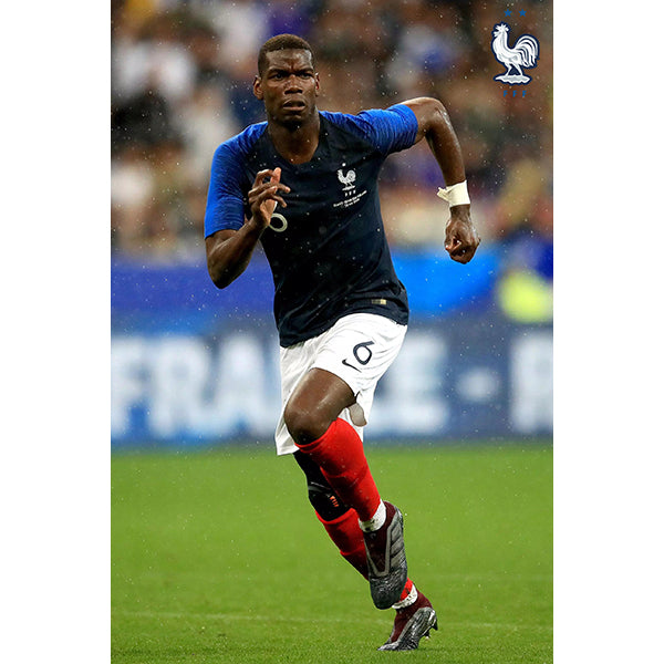 France Pogba Poster | Soccer Wearhouse