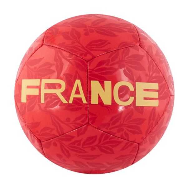Nike France Mini Skills Ball (Red) | SoccerWearhouse