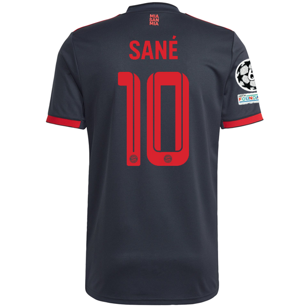 leroy sane kit